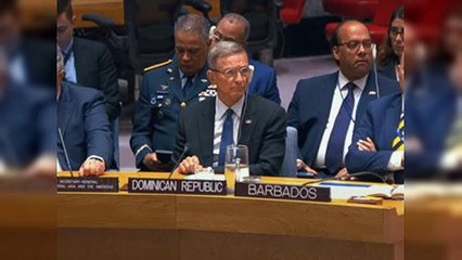 RD ha advertido ante la ONU sobre crisis de Haití en 16 ocasiones