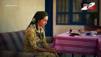 مسلسل ورد و شوك - الحلقة 43 - تركى مدبلج