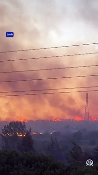 İzmir, Kütahya ve Bursa'daki orman yangınları devam ediyor
