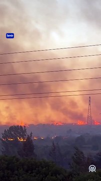 İzmir, Kütahya ve Bursa'daki orman yangınları devam ediyor