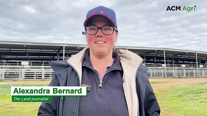 Around the store cattle sales | July, 2025