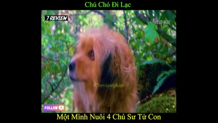 7 Review Phim | Chú Chó Bị Lạc Một Mình Nuôi 4 Chú Sư Tử Con