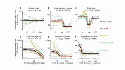 When Humanity Was on the Brink – Just 1,000 Left