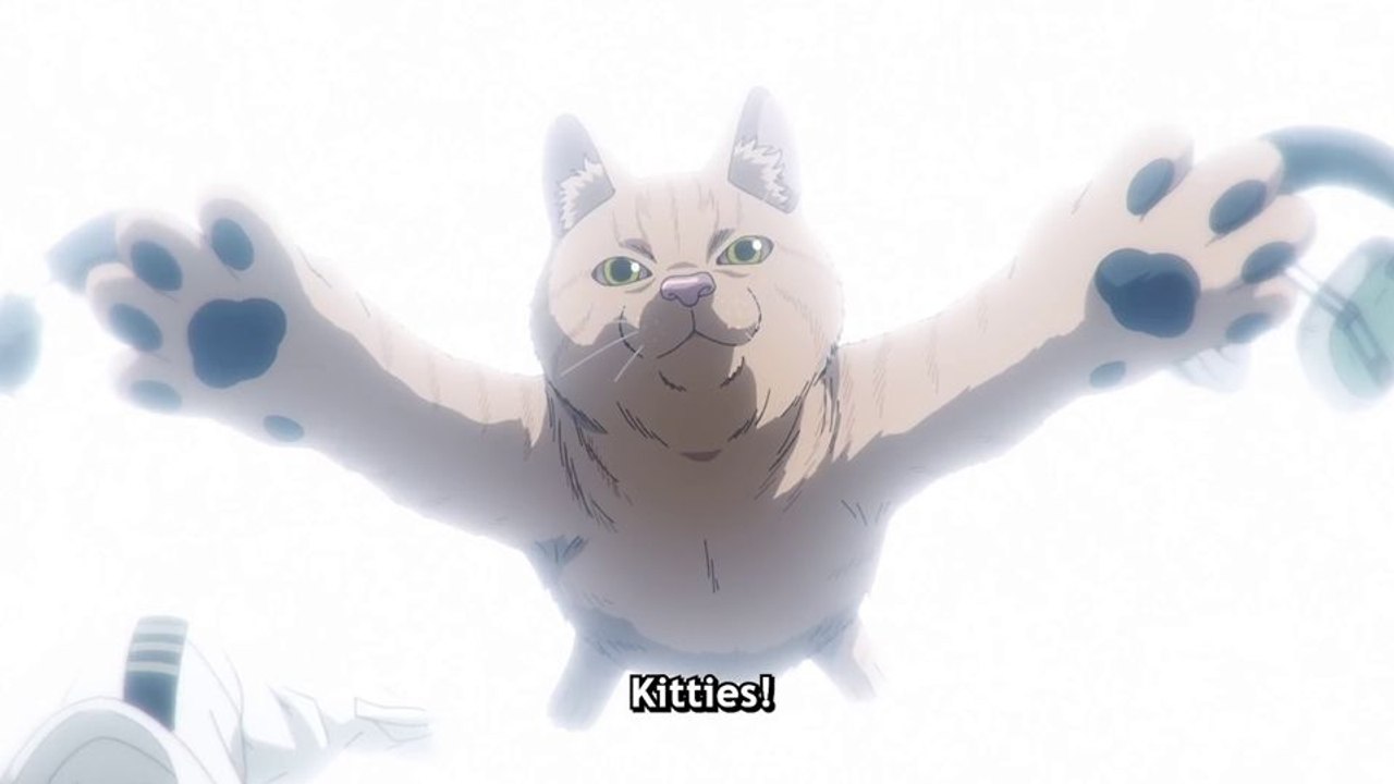 Nyaight Of The Living Cat Trailer (3) OV STEN