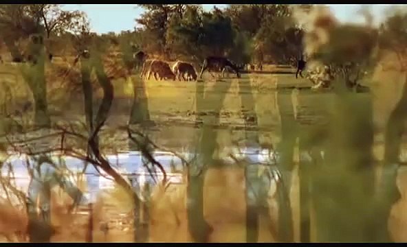 Egipto: Del Caos a Los Reyes - Descubre Sus Orígenes Fascinantes