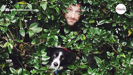 Can you spot the hidden dog in this puzzling photo that's stumped the internet?