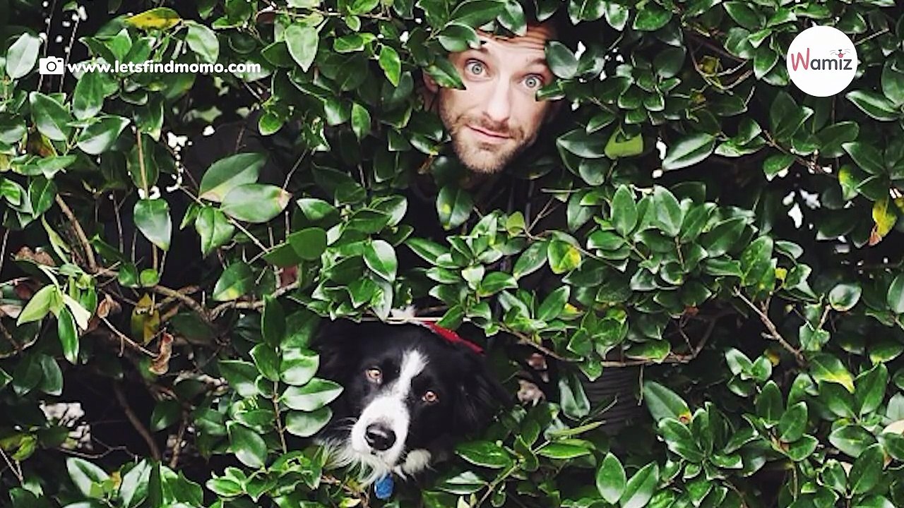Can you spot the hidden dog in this puzzling photo that's stumped the internet?