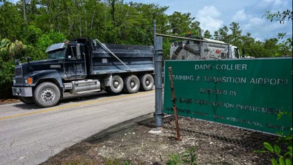 Alligator Alcatraz: Reddit Reacts to Trump’s Swamp Prison | Outrage, Memes & Protest