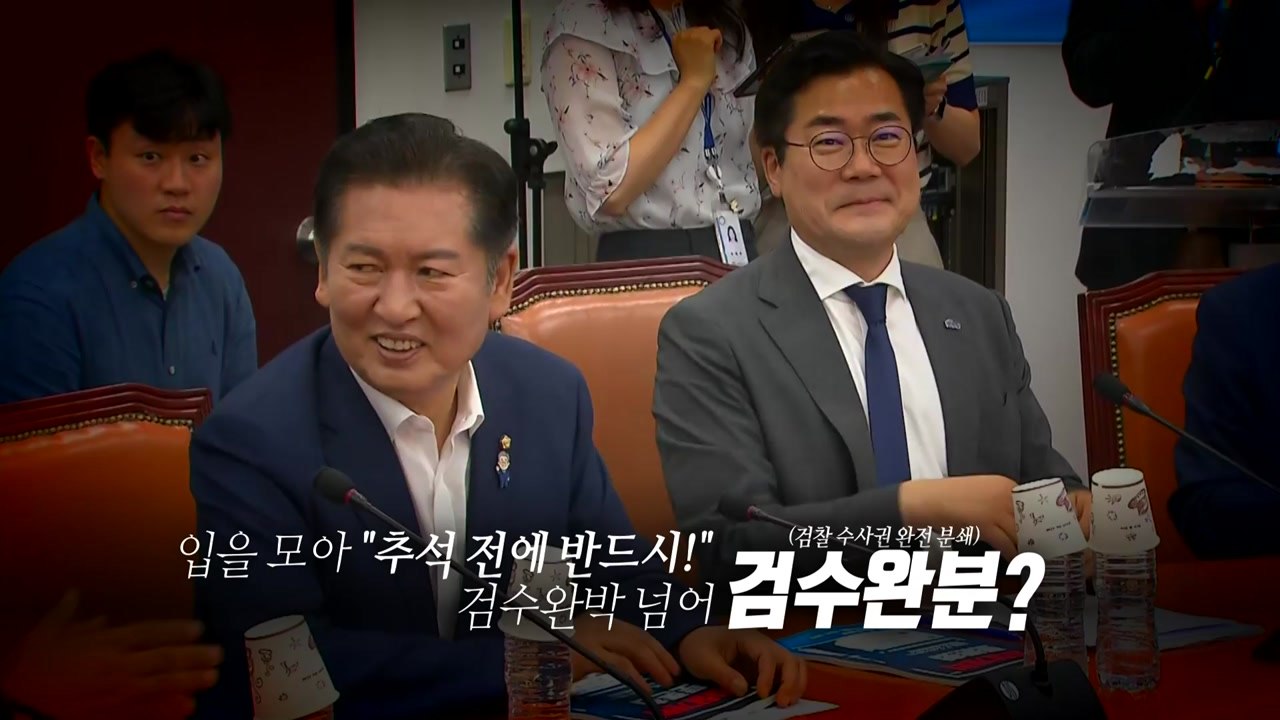 [영상] 검수완박 넘어 '검수완분'?...'혼주'된 두 당권주자 / YTN