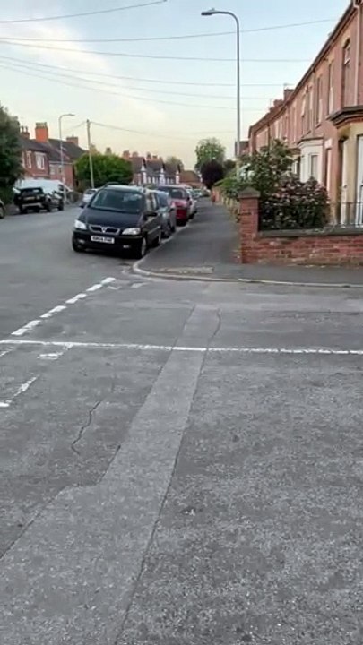 A deer in Harrowby Road, Grantham