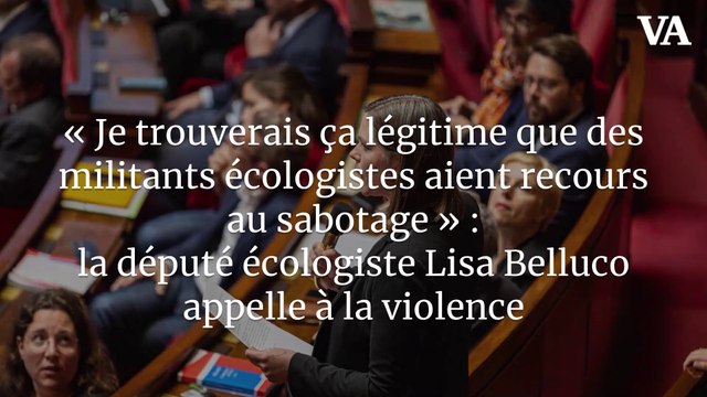 « Je trouverais ça légitime que des militants écologistes aient recours au sabotage » : la député écologiste Lisa Belluco appelle à la violence