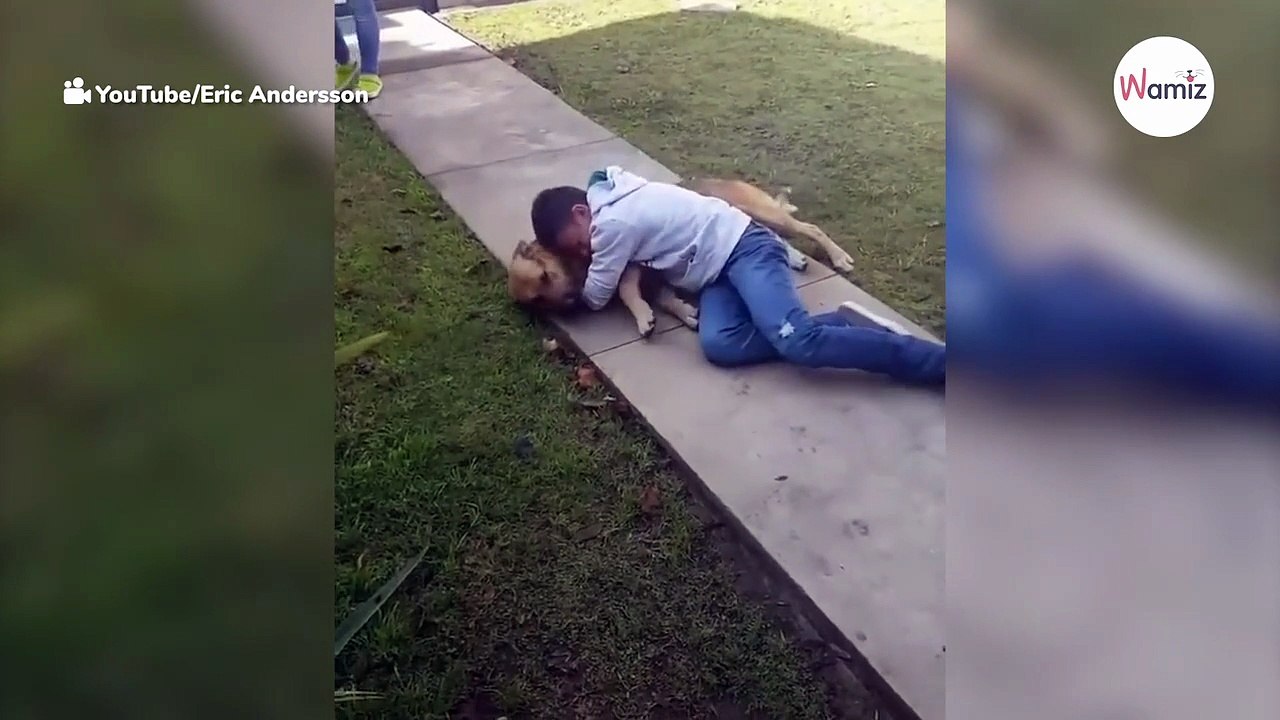Emotional moment boy reunites with his lost dog will move you to tears