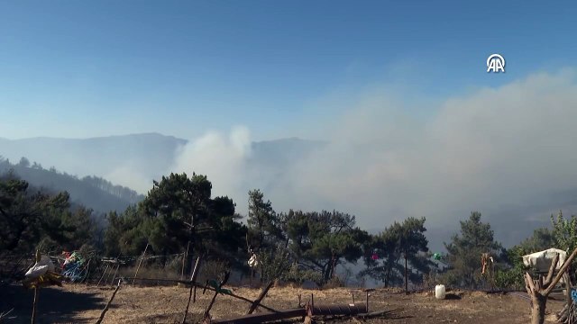 İzmir'in Ödemiş ilçesinde çıkan orman yangınına ekiplerin havadan ve karadan müdahalesi devam ediyor