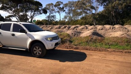 Airline apologises as it investigates cyber-attack affecting millions