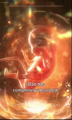 Father Of The Prodigy Chinese Drama