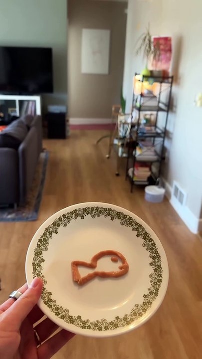 Cette chatte est née avec des "skis" à la place des pattes… et sa façon de marcher va vous faire fondre