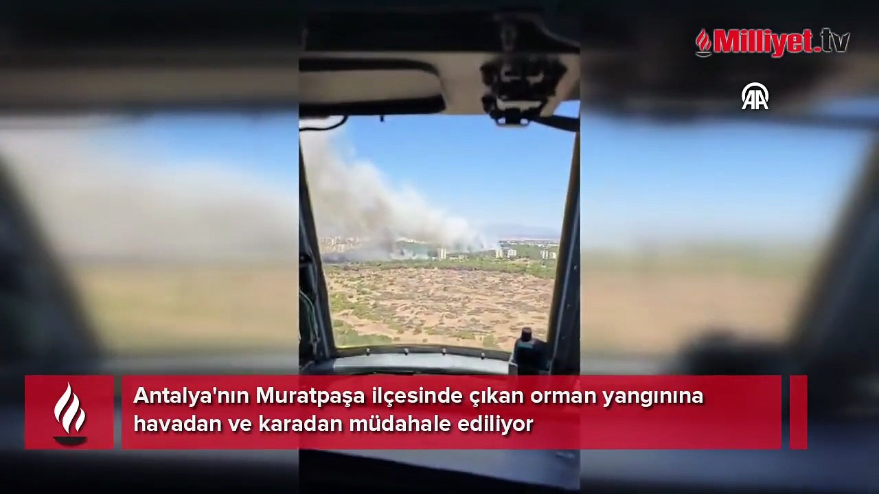 Muratpaşa ilçesinde orman yangını çıktı