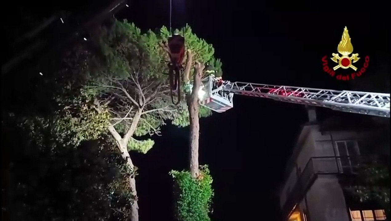 Firenze, vigili del fuoco a lavoro tutta la notte dopo la tempesta di pioggia e vento