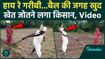 Latur Farmer : Hadolti villageमें बैल की जगह किसान के हल जोतने की कहानी Viral |Maharashtra |
