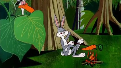 Looney Tunes | Hindi Dubbed | Apes of Wrath