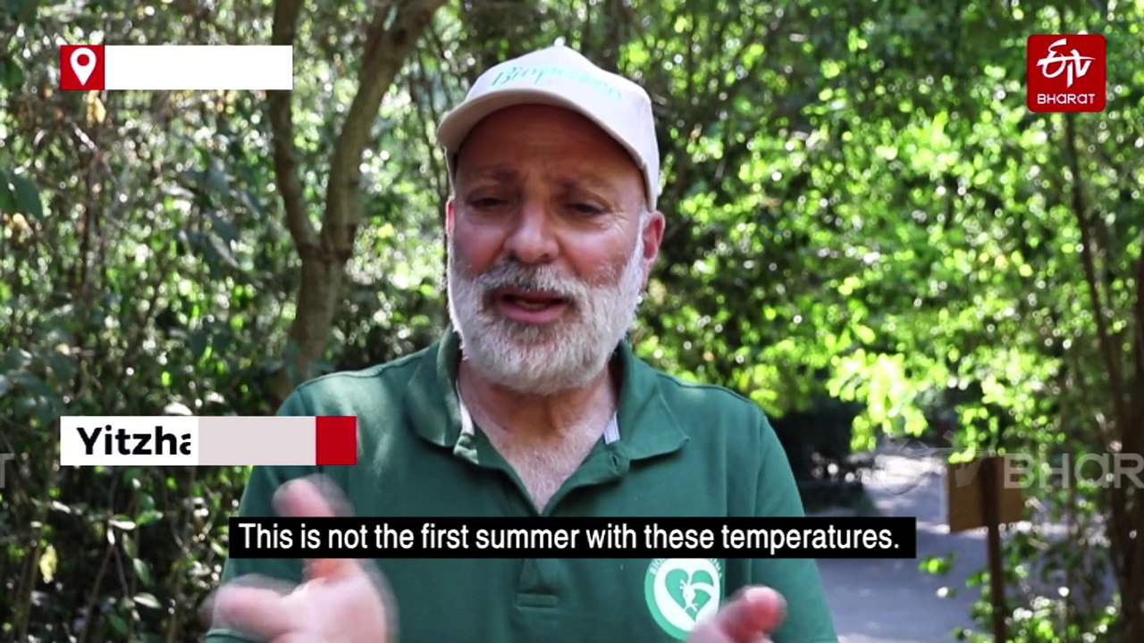 Germany Swelters As European Heatwave Moves Eastwards