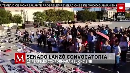 Senado abre convocatoria para renovar el Consejo Nacional de Búsqueda de Personas