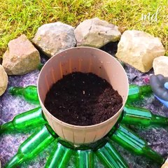 Elevate your garden with these DIY ideas 🏡🌸