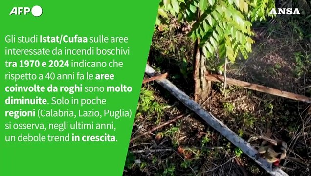 Ansa VERIFIED - E' vero che gli incendi boschivi in Italia stanno aumentando?