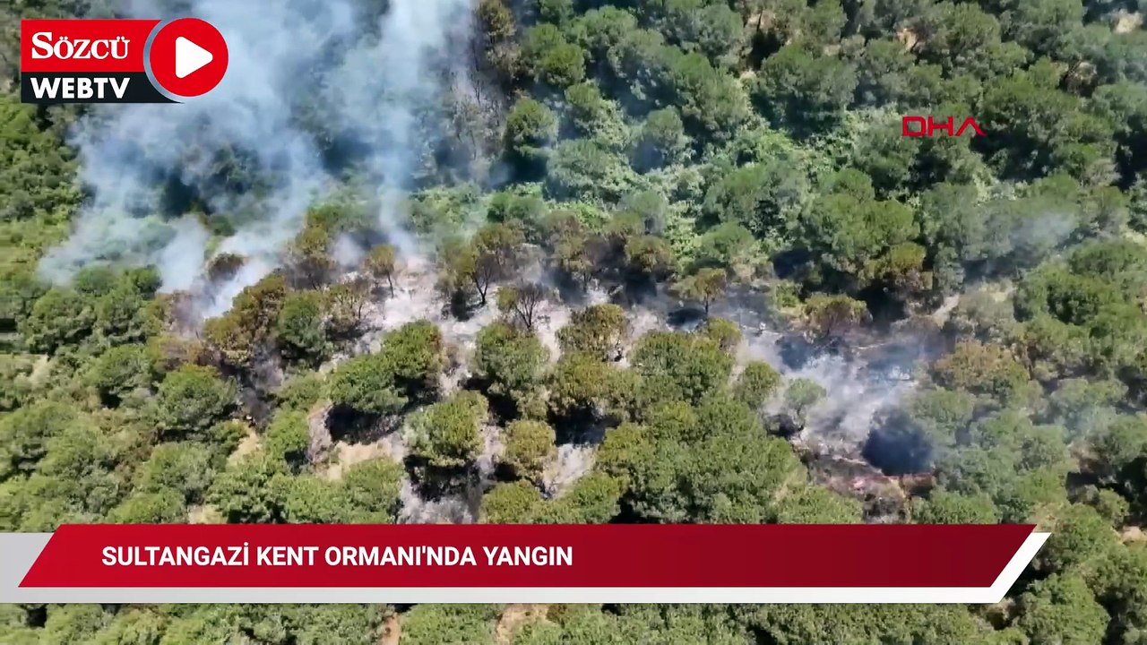 Sultangazi Kent Ormanı'nda yangın