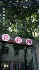 The Fake Sister's Game - Full Movie