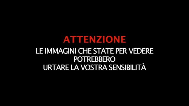 Gaza, colpita una scuola-rifugio per sfollati: almeno 12 morti
