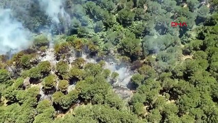Sultangazi Kent Ormanı'nda yangın
