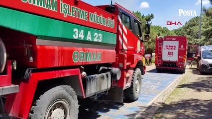 İstanbul'da Sultangazi kent ormanında yangın! Ekipler olay yerine sevk edildi