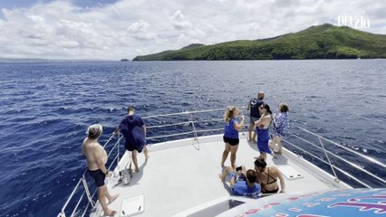 Plongées en Martinique