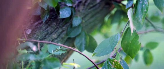 The Princess's Gambit Ep.18 Engsub