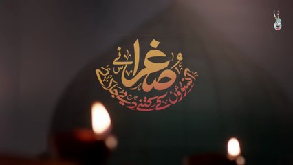 Sughran ne Aansoun k Kitne Diye JalayeSyed Farhan Ali Waris new Noha 2025