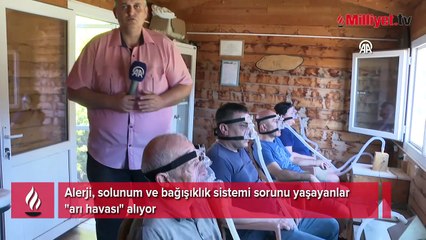 Alerji, solunum ve bağışıklık sistemi sorunu yaşayanlar "arı havası" alıyor