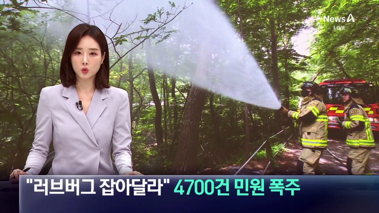 “러브버그 잡아달라” 4700건 민원 폭주