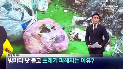 [현장 카메라]밤마다 낫 들고 쓰레기 파헤치는 이유?