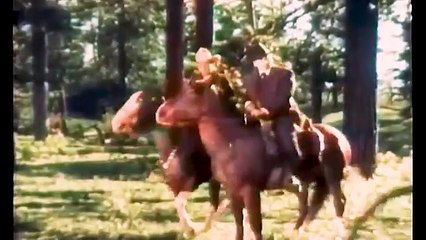 El Hombre del Bosque (1933)  Película del Oeste en Español, Randolph Scott HD