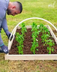 DIY projects to spice up your garden 🏡🌳