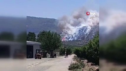 İzmir'deki yangınlara bir yenisi daha eklendi