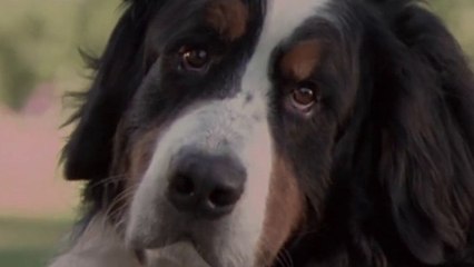 In tierischer Mission Trailer OV