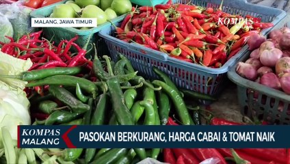 Pasokan Berkurang, Harga Cabai dan Tomat Merangkak Naik