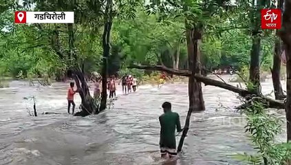 नाल्यातून आदिवासी नागरिकांचा जीवघेणा प्रवास; पाहा व्हिडिओ