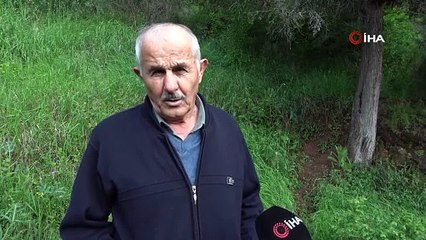 Kimi içiyor, kimi yıkanıyor! Şifa arayan soluğu burada alıyor