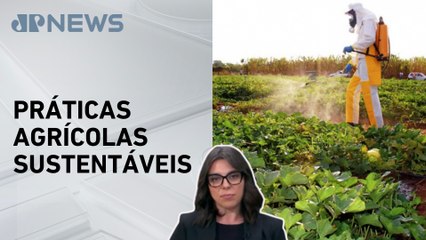Mariana Grilli: Governo lança programa para reduzir uso de agrotóxicos