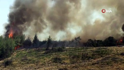 Buca’daki yangına müdahale devam ediyor