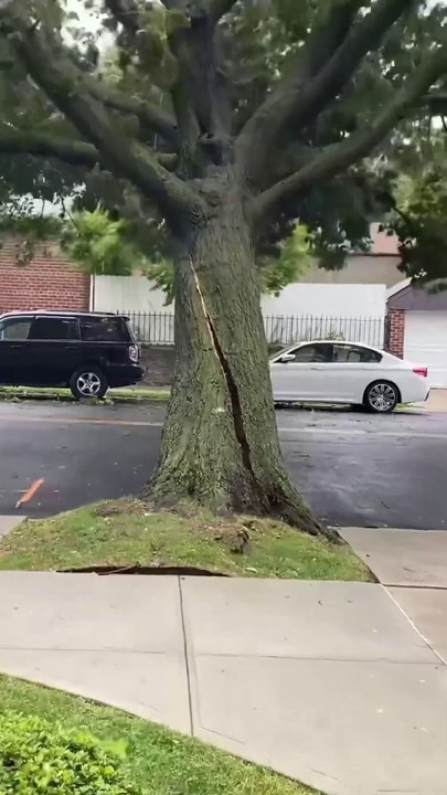 Severe gusts of wind