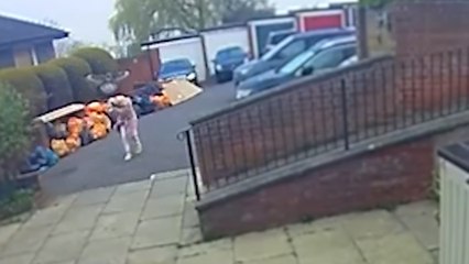 Dive-Bombing Buzzard Threat Forces School to Banning Outdoor Play